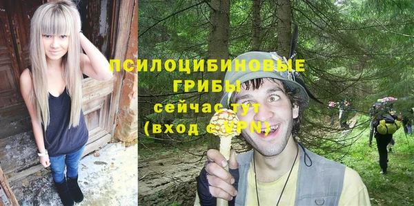 спиды Армянск
