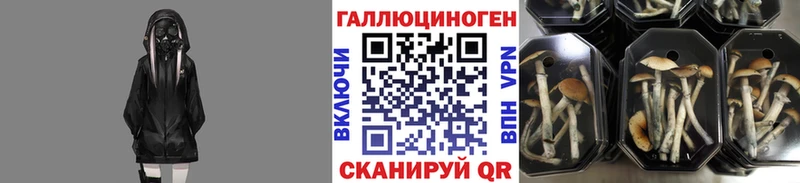 Псилоцибиновые грибы ЛСД  гидра ТОР  Пушкино 
